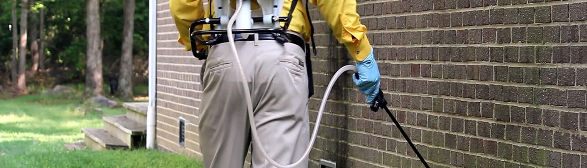 Garantimos o bem estar da sua casa e família contra pragas e sorriso