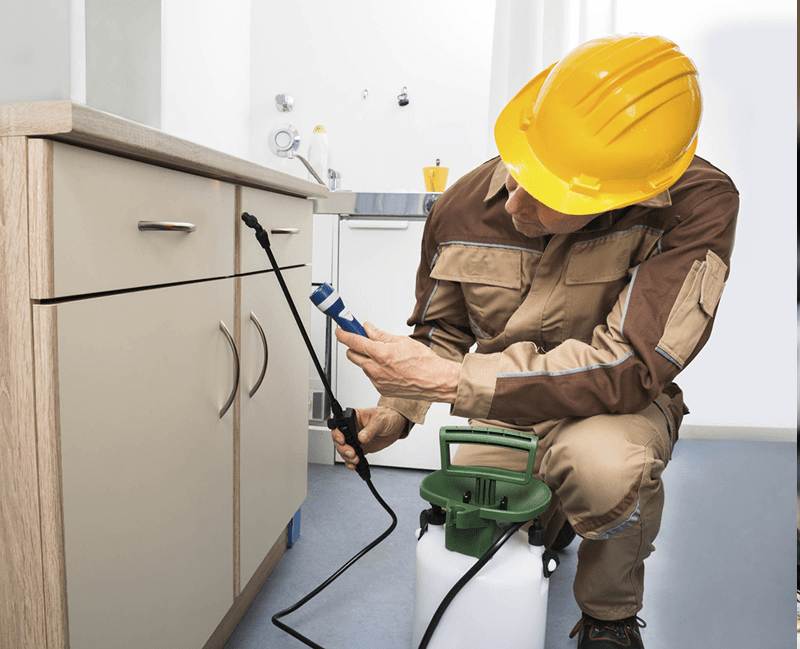 Serviço de Manejo Integrado de Pragas em Sorriso, MT