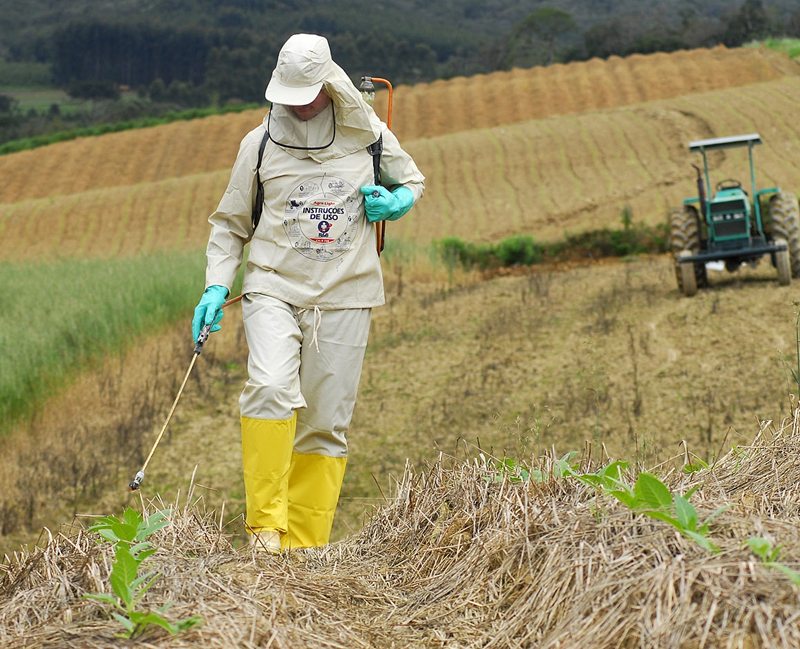 Serviço de Capina Química em Sorriso, MT