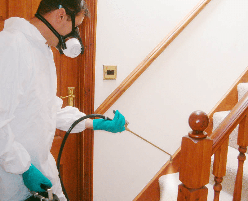 Serviço de Descupinzação em Sorriso, MT